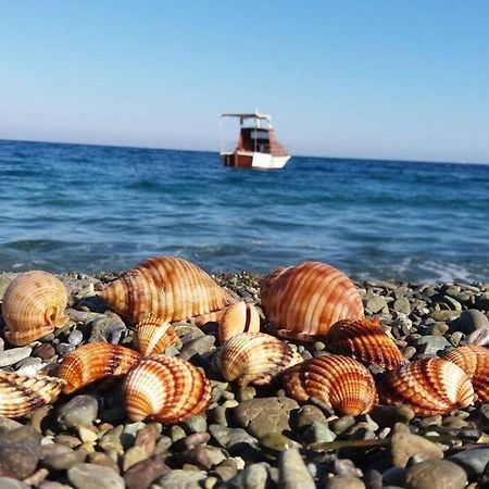 Κατοικία Πανόραμα, Πραγματευτή Λεωνιδίου, Τ.Κ.22300 Leonídion Exterior photo