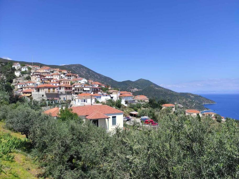Κατοικία Πανόραμα, Πραγματευτή Λεωνιδίου, Τ.Κ.22300 Leonídion Exterior photo