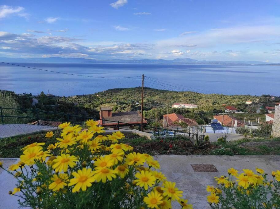 Κατοικία Πανόραμα, Πραγματευτή Λεωνιδίου, Τ.Κ.22300 Leonídion Exterior photo