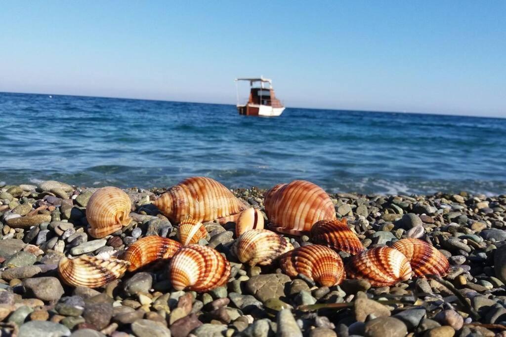 Κατοικία Πανόραμα, Πραγματευτή Λεωνιδίου, Τ.Κ.22300 Leonídion Exterior photo