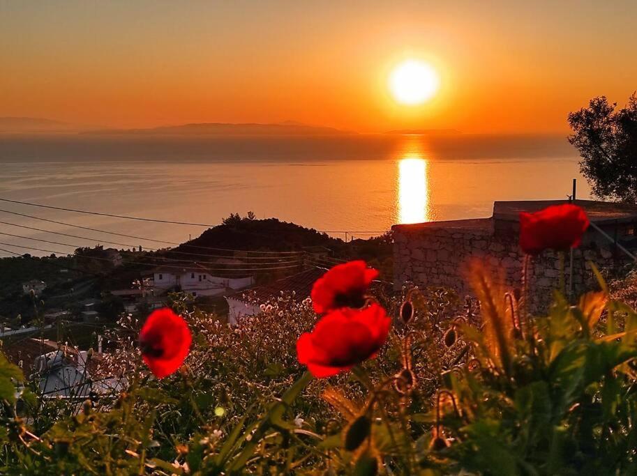 Κατοικία Πανόραμα, Πραγματευτή Λεωνιδίου, Τ.Κ.22300 Leonídion Exterior photo