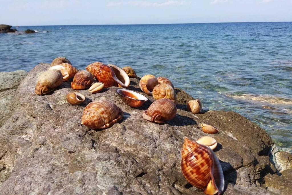 Κατοικία Πανόραμα, Πραγματευτή Λεωνιδίου, Τ.Κ.22300 Leonídion Exterior photo