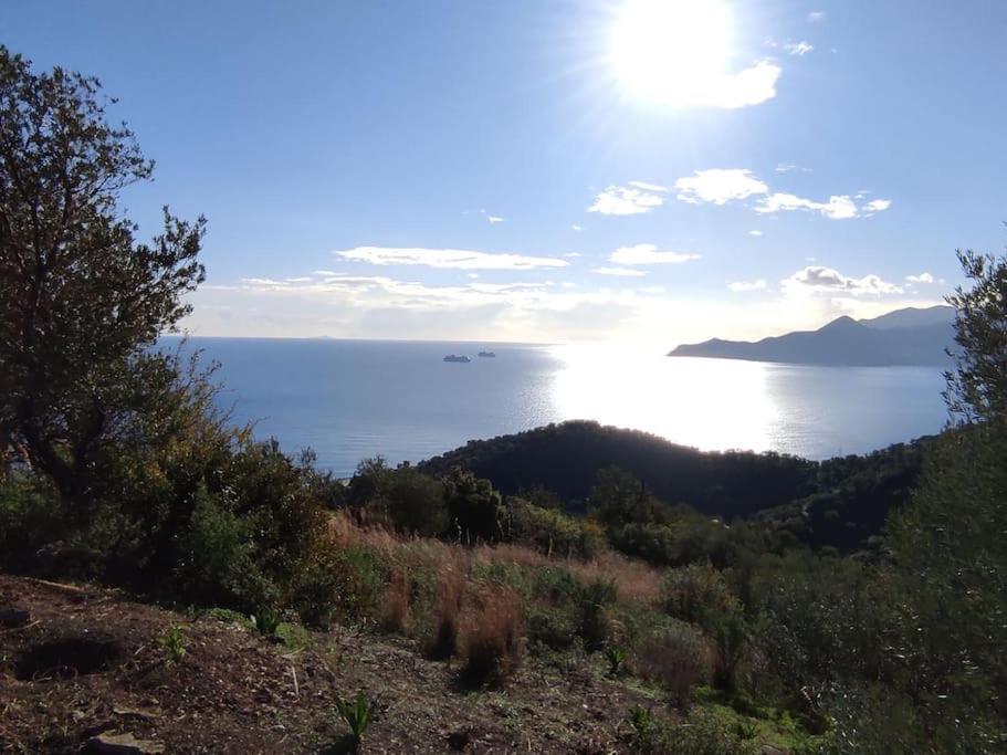 Κατοικία Πανόραμα, Πραγματευτή Λεωνιδίου, Τ.Κ.22300 Leonídion Exterior photo